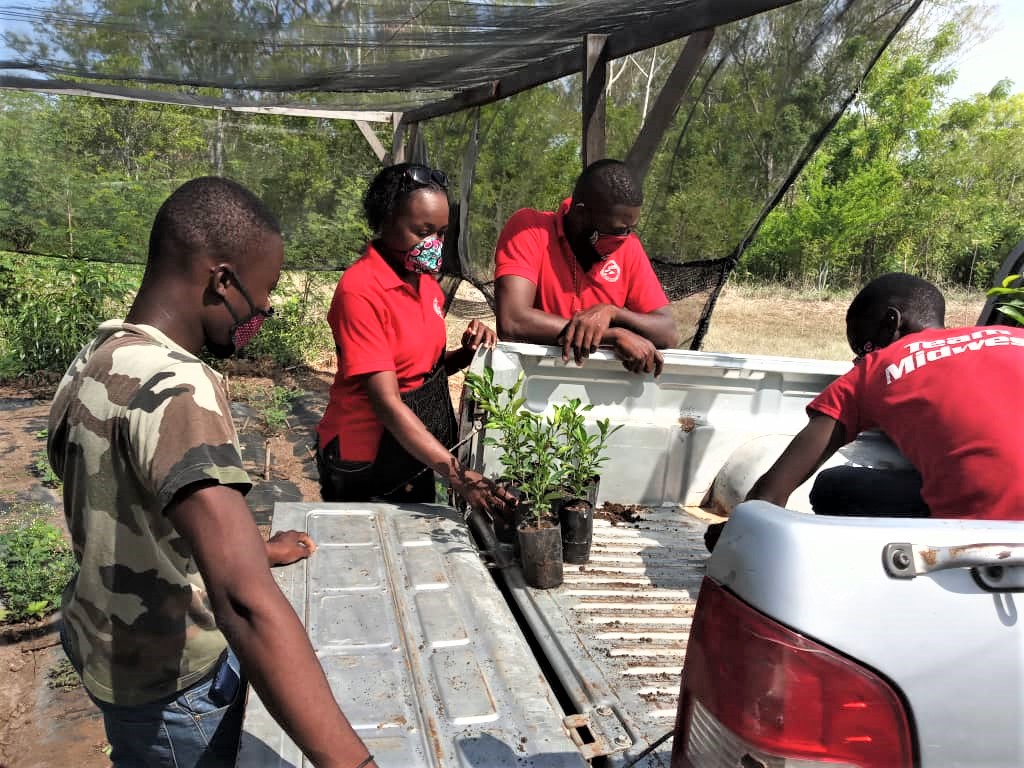Haiti: OPODNE Plants Fruit Trees As A Sign Of Hope To People In Middle Of Pandemic